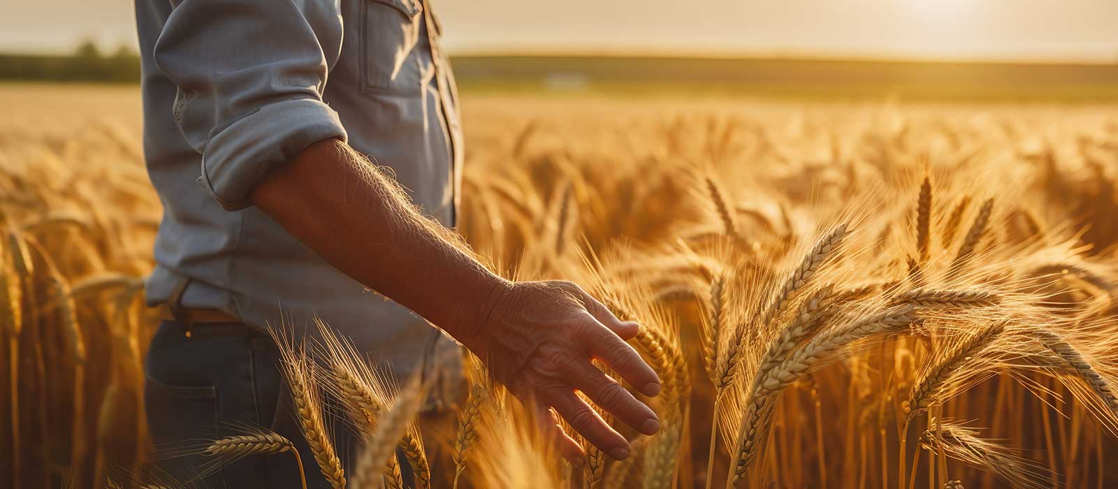 Riverland Lending Services man barley