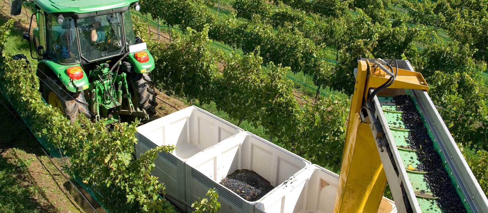 Riverland Lending Services tractor vineyard